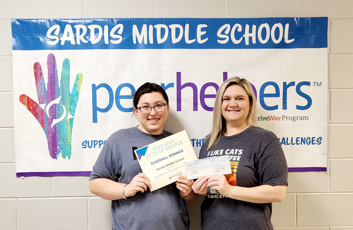 Top Peer Helpers PLUS Programs Recognition Update – ThriveWay LLC