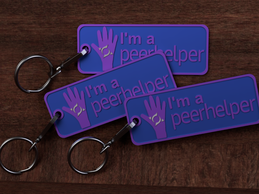 Standard Keychain Bag Tag